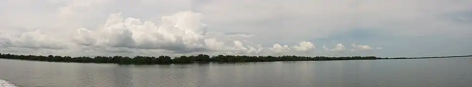 Panorama mokradła, rok 2006