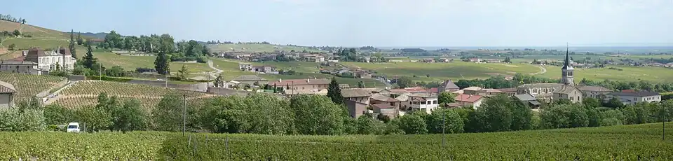 Panorama Chénas, 2009