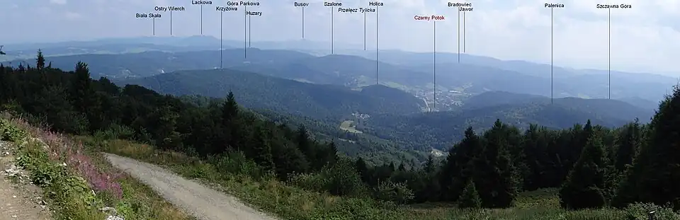 Widok z Jaworzyny na Beskid Niski i Góry Leluchowskie