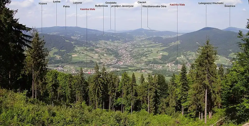 Przełęcz Jaworzyce (widok z polanki paralotniarzy na Szczeblu)