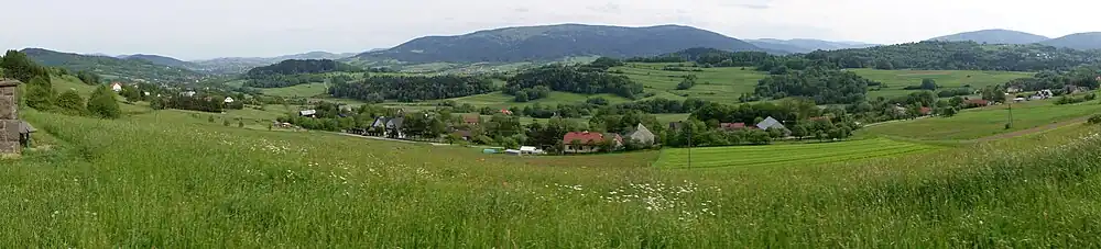 Fragment panoramy z wzniesienia Dział