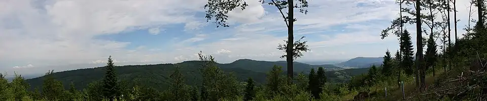 Panorama ze zbocza Sokołówki na północny wschód