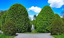 Część centralna – skwer z popiersiem dra Henryka Jordana