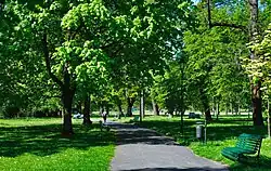 Ogólny widok, alejka w parku