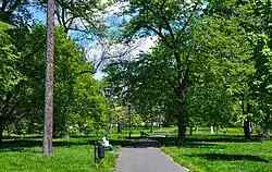 Ogólny widok, alejka w parku