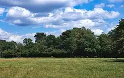 Polana w zachodniej części parku