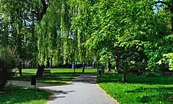 Ogólny widok, alejka w parku