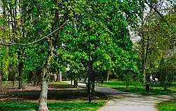 Park im. Stanisława Wyspiańskiego