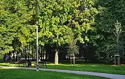 Park im. S. Żeromskiego