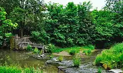 Pozostałości jazu na rzece Białusze