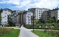 Ogólny widok, aleja we wschodniej części parku