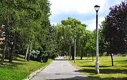 Ogólny widok, aleja w zachodniej części parku