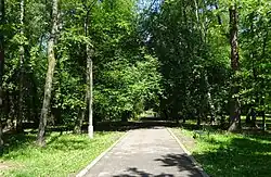 Ogólny widok środkowej, leśnej części parku na północ
