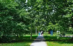 Ogólny widok, aleja w parku