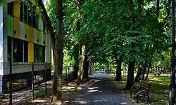 Aleja Zuchów Borkowskich