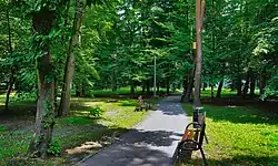 Część Podmokła, ogólny widok w kierunku wschodnim