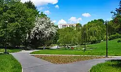 Widok ogólny na północ