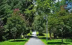 Aleja Juliana Kawalca