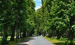 Ogólny widok na północ, aleja w parku