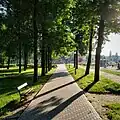 Alejka w parku