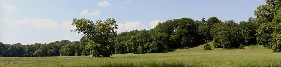 Panorama polany w parku, stanowiącej część osi widokowej
