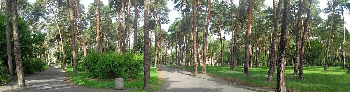 W leśnej części parku