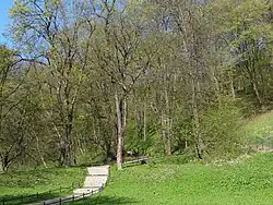 Południowa część parku