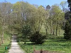 Alejka do Zamku w Ojcowie