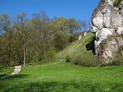 Skały Góry Zamkowej i łąka Winnica