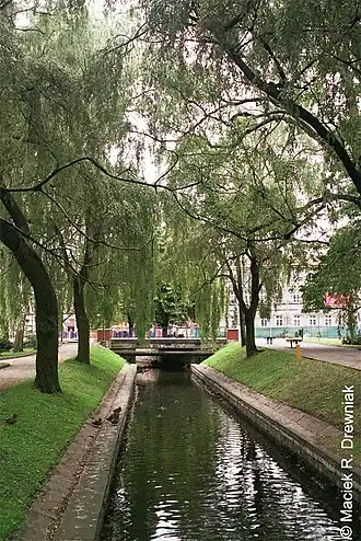 rz. Nizica w Parku Miejskim