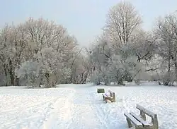 Aleja prowadząca do schodów