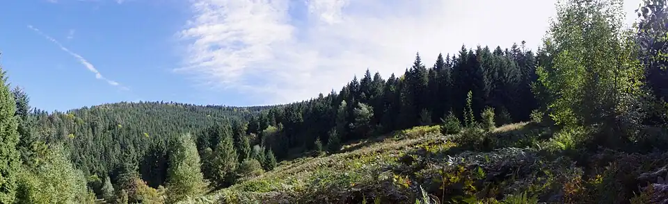 Panorama polany Parkijówka