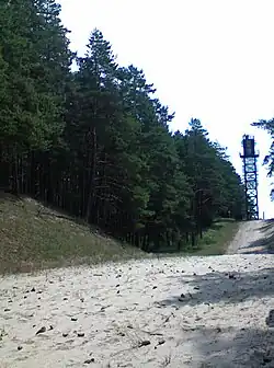 Pas drogi granicznej pomiędzy Polską i Rosją  niedaleko Piasków