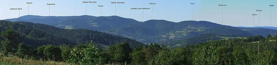 Widok z przełęczy Widoma na Pasmo Łososińskie