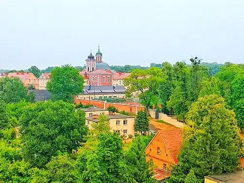 Widok na Owińska, w tym klasztor Cysterek