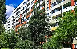 Wnętrze osiedla, blok przy ul. Łużyckiej 51