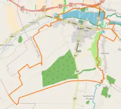 Mapa konturowa Piask, u góry po prawej znajduje się punkt z opisem „Stary cmentarz żydowski w Piaskach”