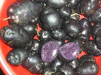 Całe ziemniaki 'Vitelotte' i ich połówki