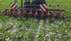 Aktywny pielnik zamontowany na ciągniku