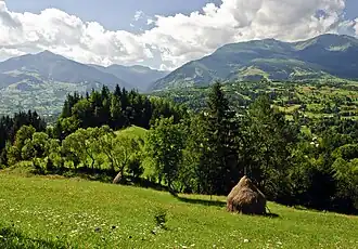 Widok na Pietrosu Mare