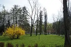 Park pomiędzy osiedlami Wysokim (po lewej) oraz Na Lotnisku (po prawej)