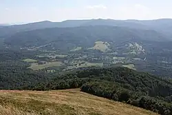 Widok na Wetlinę ze Smereka