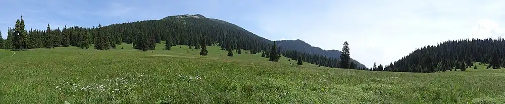 Pośrednia Polana i widok na Wielkiego i Małego Chocza