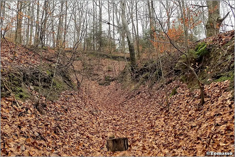 Ślady dawnej kopalni pod Kamienną Górą