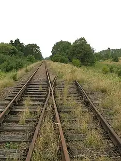 Widok ogólny na krzyżownicę. Widoczna dziobownica wykonana ze ściętych szyn wraz z szynami skrzydełkowymi oraz kierownice.