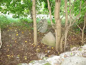 Macewy na cmentarzu żydowskim