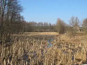 Rozlewiska w Nowince