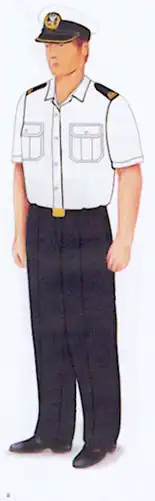 żołnierza zawodowego z koszulo-bluzą