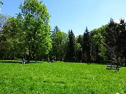 Polana Jacka Malczewskiego