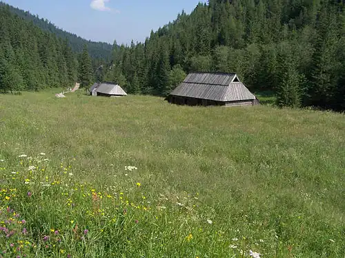 Szałasy na Niżniej Równi